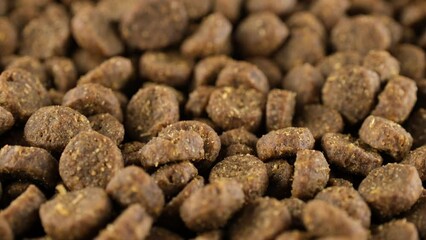 Wall Mural - Dogs Food Falls down close up. Dry Animal Feed, Top View. Dry Food for Puppies or Dogs close up