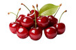 cherries on white background