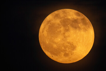 Wall Mural - moon looks orange and you can see the craters. photography taken with a telescope.