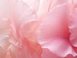 © Boadicea - Background with pink flower petals, macro detail