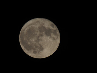 Wall Mural - full moon seen with telescope