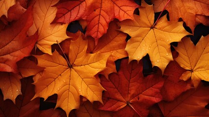 Wall Mural - Autumn colorful leaves background, Falling leaves natural background, generative ai