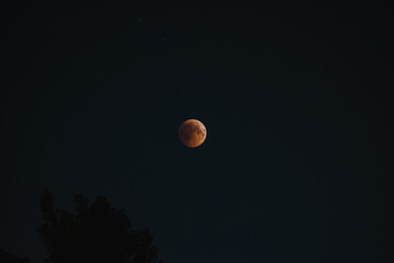 red moon in the sky