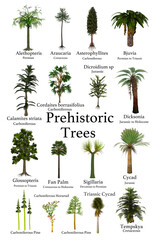 Poster - Prehistoric Trees - A collection of trees and cycads that lived during prehistoric periods of Earth's history.