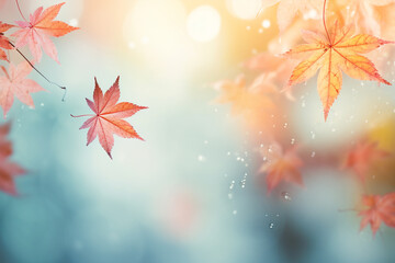 Wall Mural - Close up maple leaves in autumn with blurred background