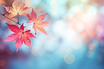 Wall Mural - Close up maple leaves in autumn with blurred background
