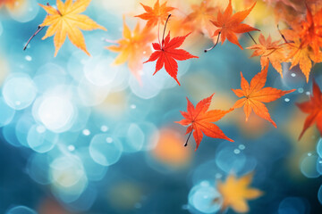 Wall Mural - Close up maple leaves in autumn with blurred background