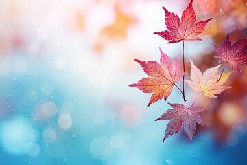 Wall Mural - Close up maple leaves in autumn with blurred background