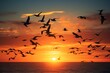 synchronized rhythm of a flock of birds, silhouetted against the deep hues of an October sunset