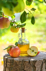 Wall Mural - Apple cider vinegar in the garden. Selective focus.