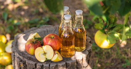 Wall Mural - Apple cider vinegar in the garden. Selective focus.