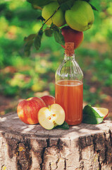 Wall Mural - Apple cider vinegar in the garden. Selective focus.