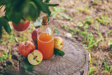 Wall Mural - Apple cider vinegar in the garden. Selective focus.