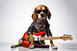 Beagle Dog Dressed As A Rockstar On White Background
