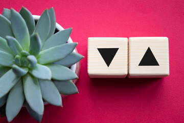 Interest rate symbol. Two wooden cubes with arrow going down and arrow going up. Beautiful red background with succulent plant. Business concept. Copy space.