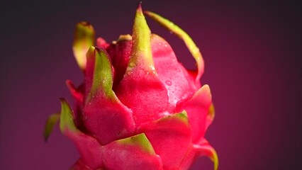 Canvas Print - Dragon fruit, Pitahaya, Pitaya exotic asian vegan juicy fruits close up. Rotating, over dark red background. Healthy vegan food. Slow motion 