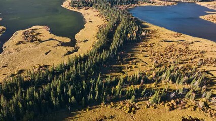 Wall Mural - fall landscape. a drone view of the river in the woods. an aerial view of an autumn forest. winding 