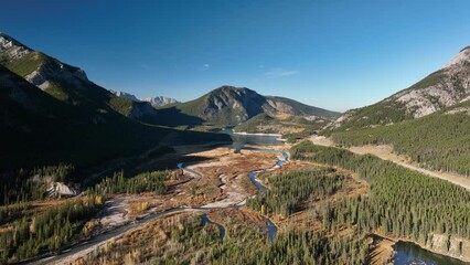 Wall Mural - drone view of a forest, rivers and mountains in the rocky mountains. landscape from the air. video f
