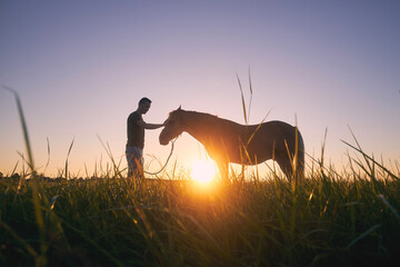 Silhousette of man while stroking of therapy horse on meadow at sunset. Themes hippotherapy, care and friendship between people and animals..