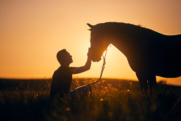 silhousette of man while stroking of therapy horse on meadow at sunset. themes hippotherapy, care an