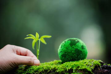 Environment. Green globe on grass moss in forest, Green planet with abstract defocused bokeh lights, Environmental conservation concept. Elements of this image furnished by NASA