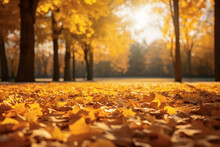Autumn Landscape With Golden Trees In The Park On A Sunny Day. An Atmosphere Of Calm. Beautiful Autumn Blurred Background. Yellow Leaves On The Ground, A Carpet Of Fallen Leaves. Copy Space.