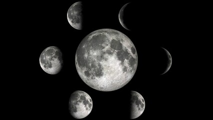 Wall Mural - moon phases on black background