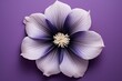A violet and white flower on a violet background with a black pistil and a violet pistil in the center of the flower. Generative AI
