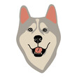 Husky Dog Portrait Illustration