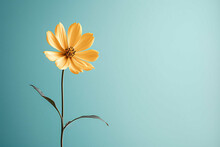 A Little Yellow Flower, On Blue Background With Copy Space