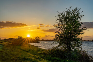 Wall Mural - Beautiful rays of sunshine because the setting sun just touches the trees along the river De Lek near Beusichem