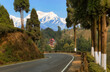 Scenic mountain road lined with pine trees and view of the majestic snow-capped Kanchenjunga Himalaya range at Tinchuley, Darjeeling, India