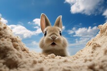 A Rabbit In A Sandy Hole, Looking At The Camera With Ground And Sky Visible In Backdrop, In A Blue Sky With White Clouds. Generative AI