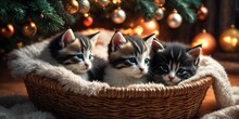Two Adorable Two And A Half Months Old Kittens - Grey And Black With White One, Sitting In A Wicker Basket With Christmas Tree Fir And Garland On Background. Winter Holidays Happy New Year Postcard