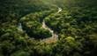 Tranquil aerial view of tropical rainforest, flowing water and cliff generated by AI