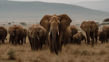 African Elephant Herd Walking In A Row, Grazing In Sunlight Generated By AI