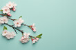 Picture of branch of cherry tree with beautiful white flowers. This image can be used to add touch of elegance and nature to various projects.