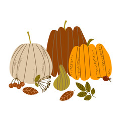 Wall Mural - pumpkins autumn still life vector picture in flat style
