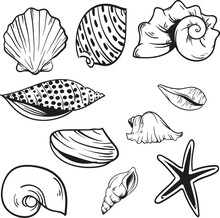 Set Of Sea Shells, Seashell Cut File Eps, Eps For Shirts, Cups, Stickers, Vectors
