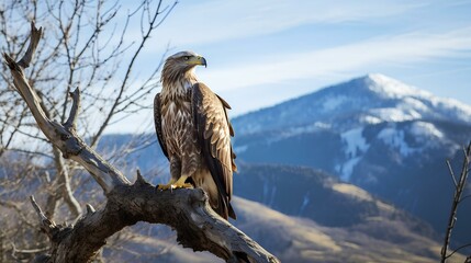 Wall Mural - An eagle perched on a tree branch at the edge of a mountain