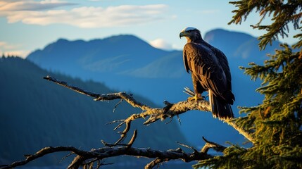 Wall Mural - An eagle perched on a tree branch at the edge of a mountain