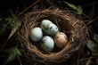 © Artsiom P - Bird's nest with eggs in the forest. Generative AI