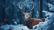 © Tkz26 Graphics - a red deer standing in the woods in the snow, stag in the snow in winter landscape,