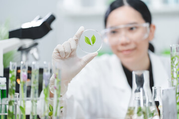 Wall Mural - plant in medical pharmacy science research at chemical medicine laboratory for pharmaceutical indust