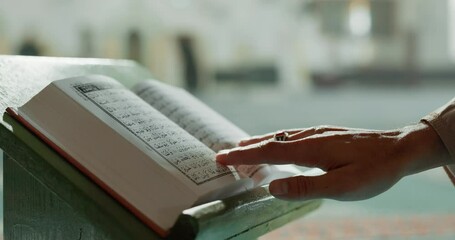 Wall Mural - Hands, Quran and closeup of man reading in the mosque for religion study, faith or worship. Gratitude, praise and zoom of muslim male person with holy book for spiritual wellness in an islamic temple