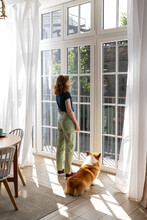 Woman And Welsh Corgi Dog Looking Through Window At Home