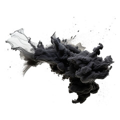 Canvas Print - Splashes of black powder paint