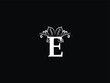 Letter E logo, Feminine e e Leaf logo Icon Design For Business