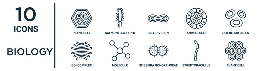 biology outline icon set such as thin line plant cell, cell division, red blood cells, molecule, streptobacillus moniliformis, plant cell, goi complex icons for report, presentation, diagram, web