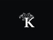 Letter K logo, Feminine k kk Leaf logo Icon Design For Business